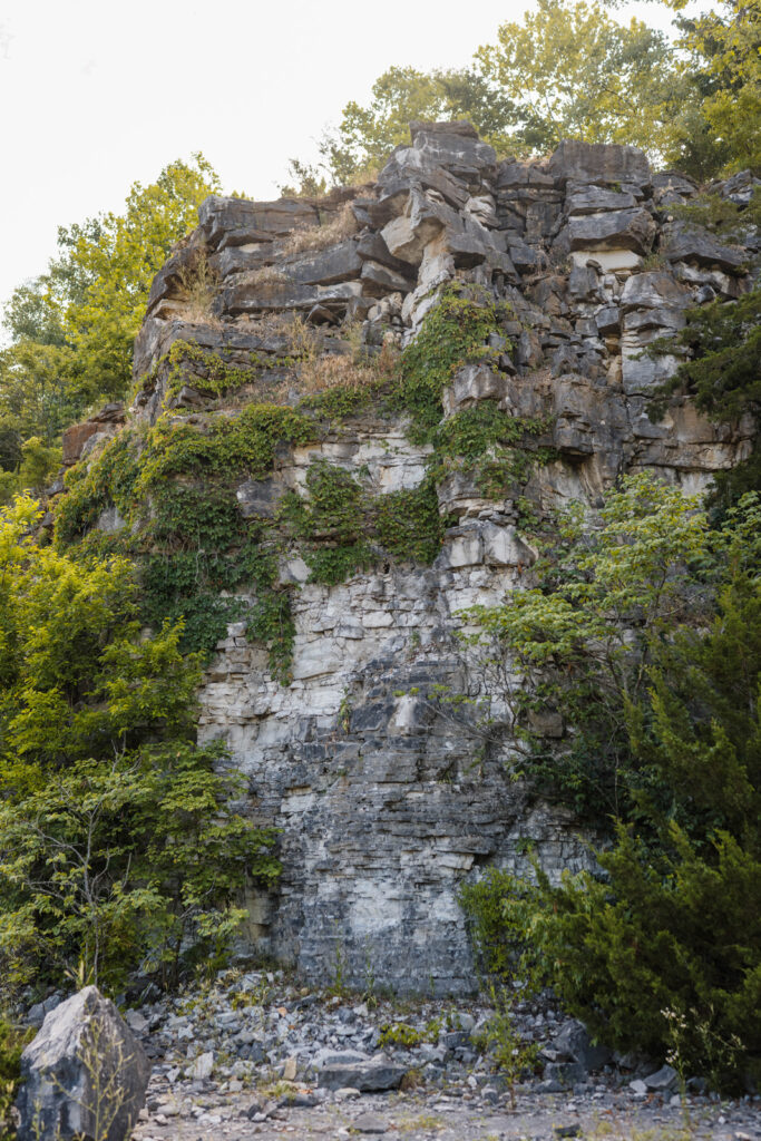 Large rocky walls surrounded by trees.