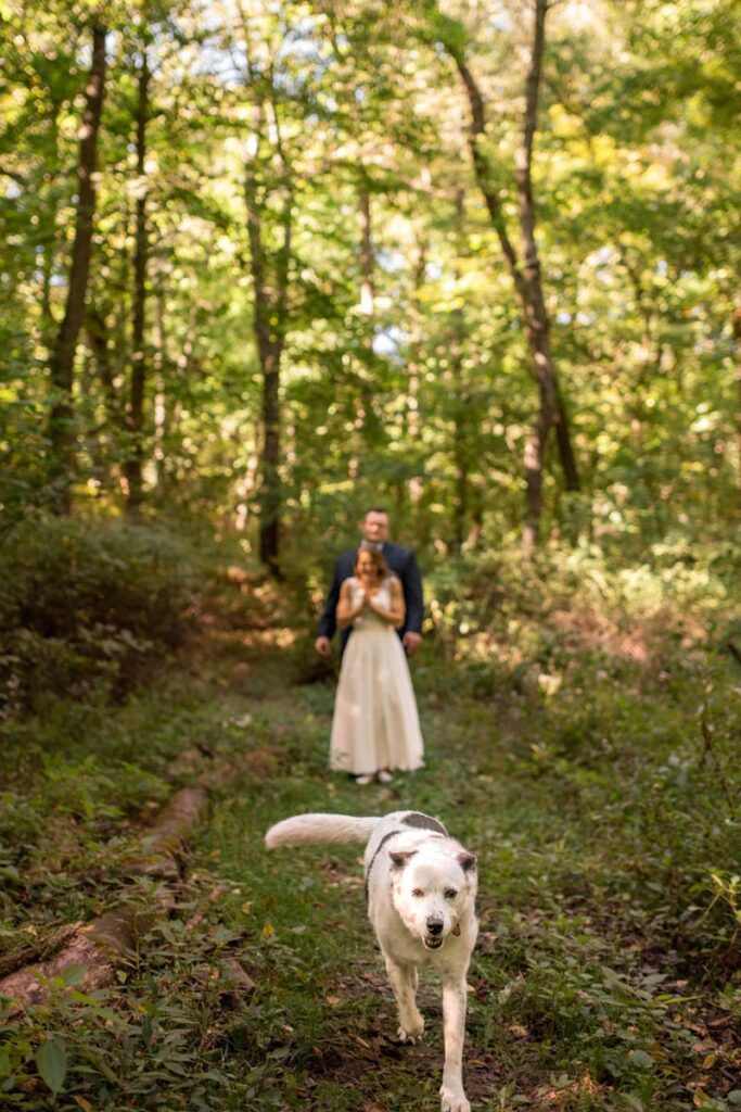 Bride and groom walk in the woods with their dog running ahead of them.