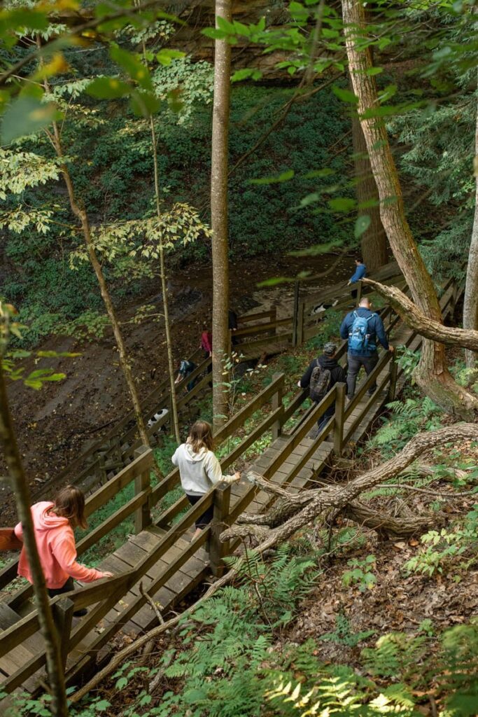 Group of hikers follow wooden stairs trail in Shades State Park.