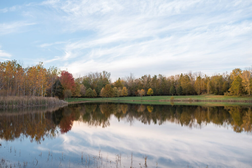 Blue Heron Lake at Hummel Park in Plainfield, IN at sunset.