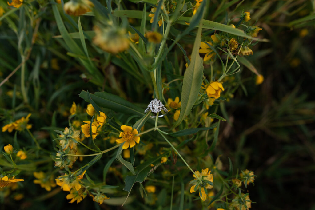Engagement ring sitting with yellow flowers.