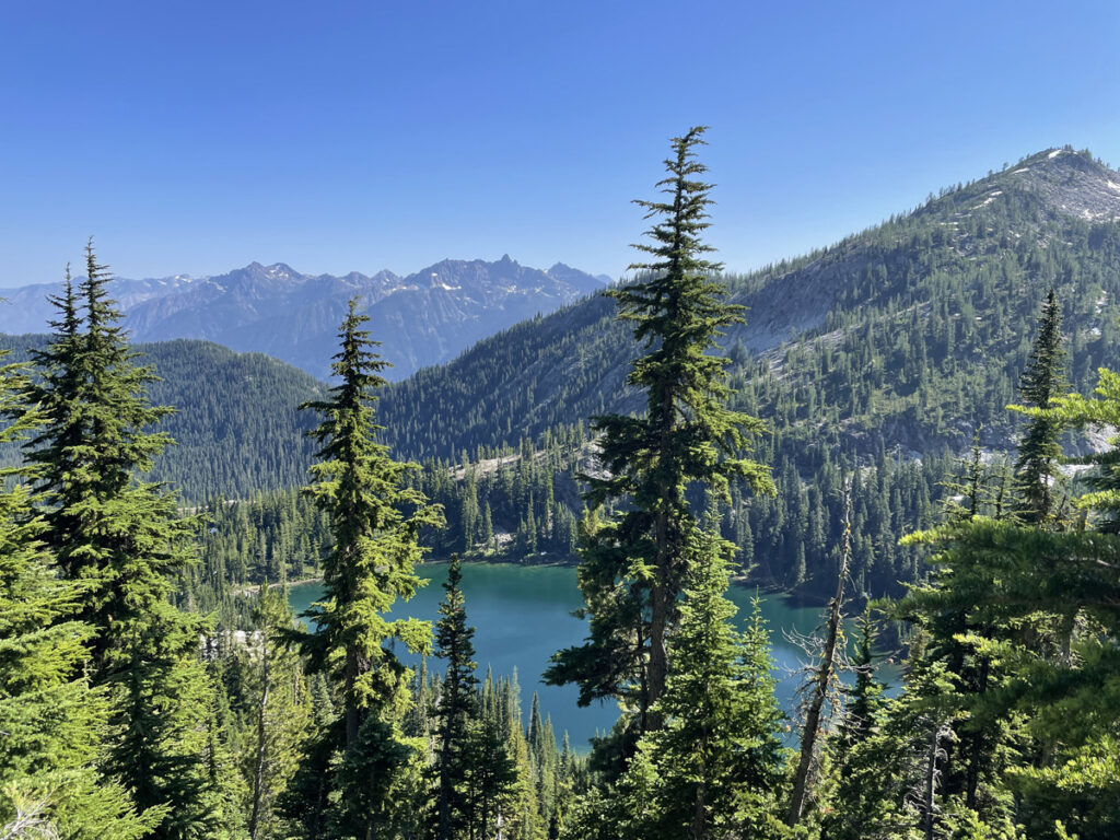 Bright blue lake spotted from the side of a mountain between tall pine trees in North Cascades National Park.