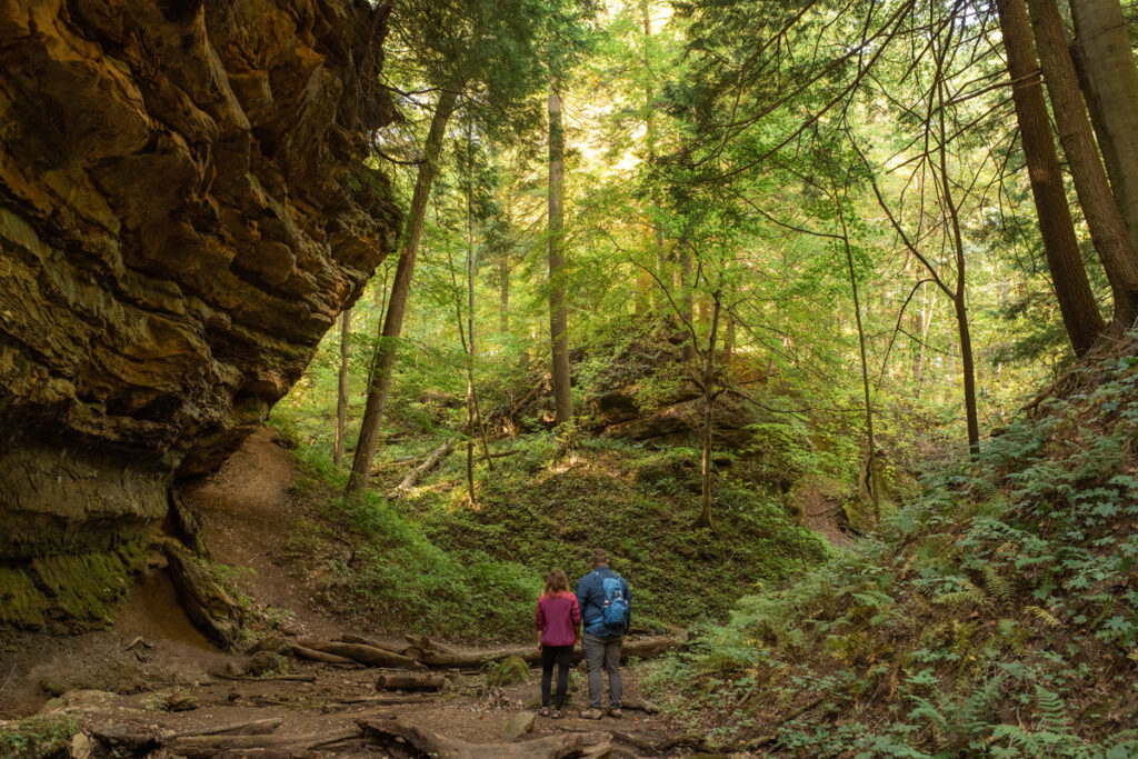 Man and woman stand in the middle of a gorge looking around at the forest around them on a hike.