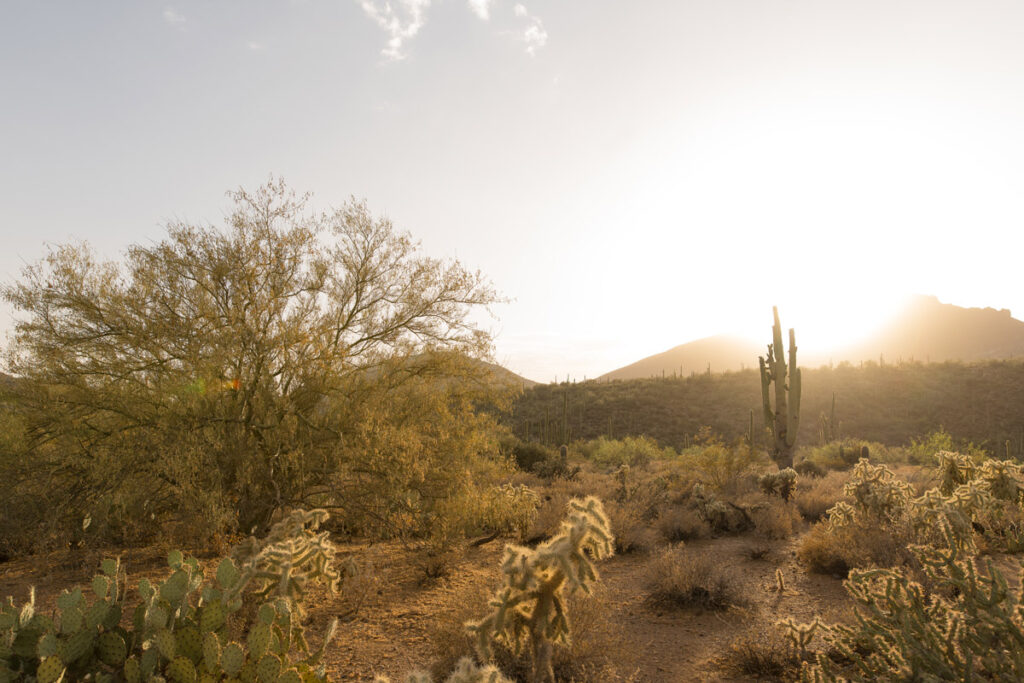 Sun setting over mountains in a desert in Arizona.