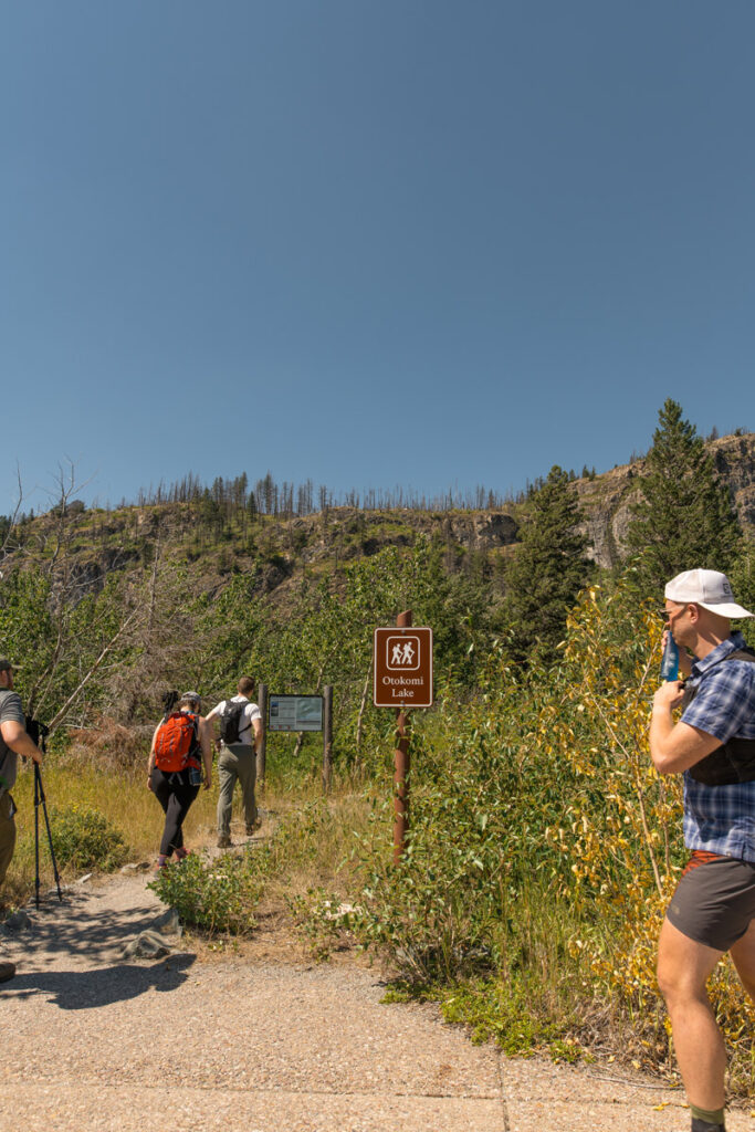 Group of hikers stick to trail path on their hike adhering by LNT principles.