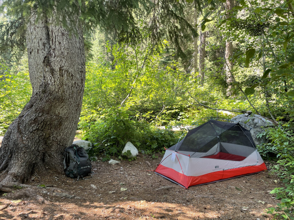 Tent rests peacefully under large tree at a campsite in the backcountry of North Cascades National Park.