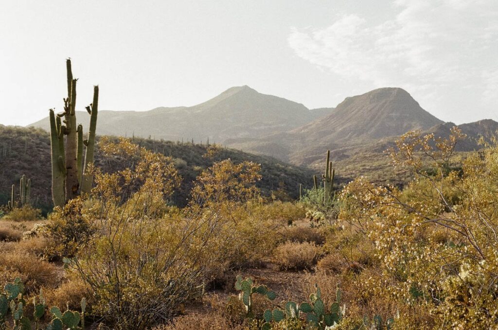 Desert scene photographed on film camera with mountains and saguaro cactus.