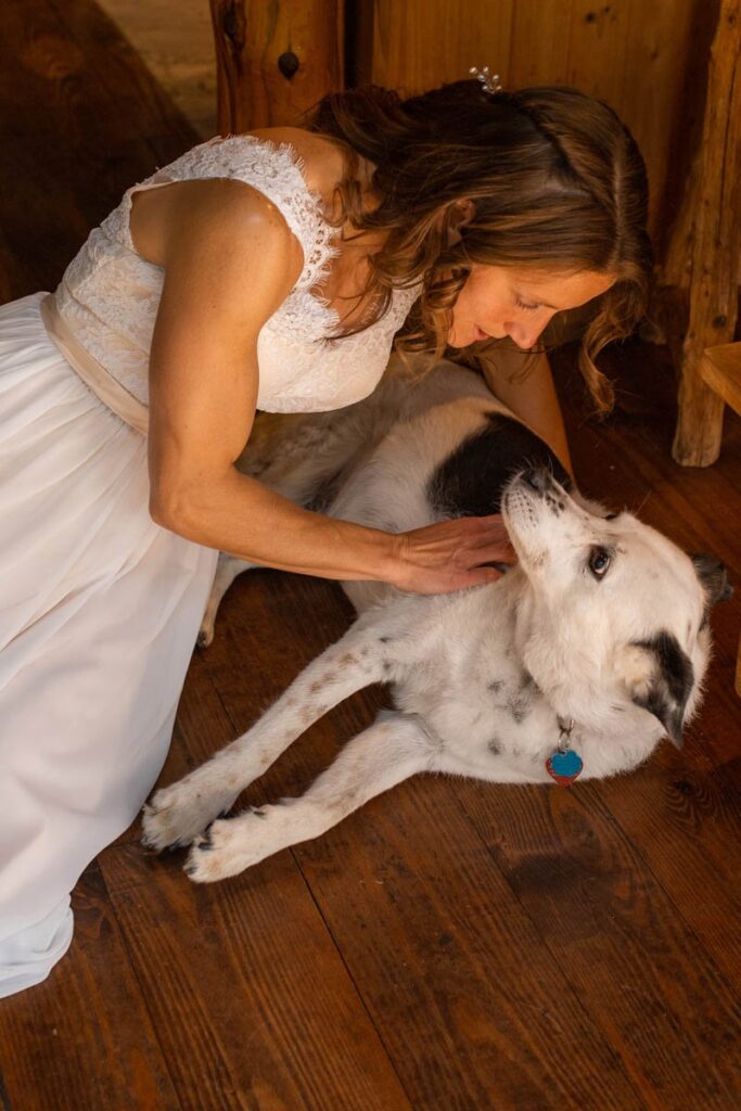 Bride snuggling her dog in her wedding dress.