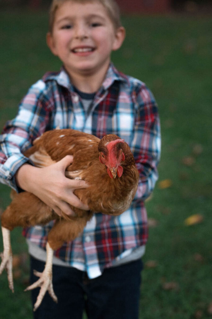 Boy smiles while holding red-brown colored chicken.