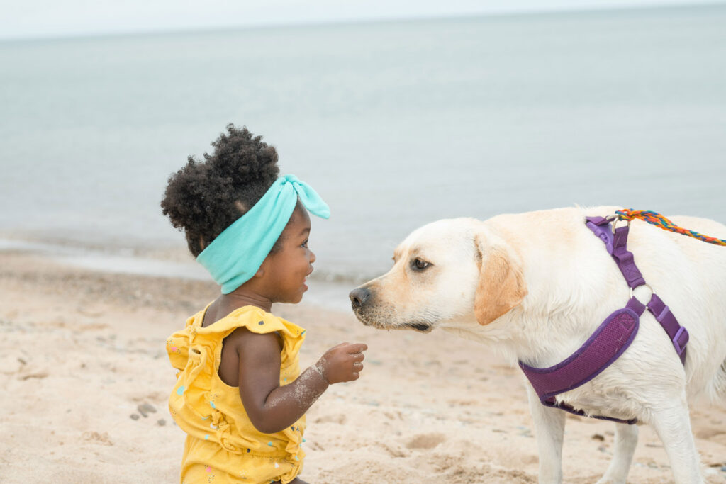 Little girl greets dog walking on the beach.