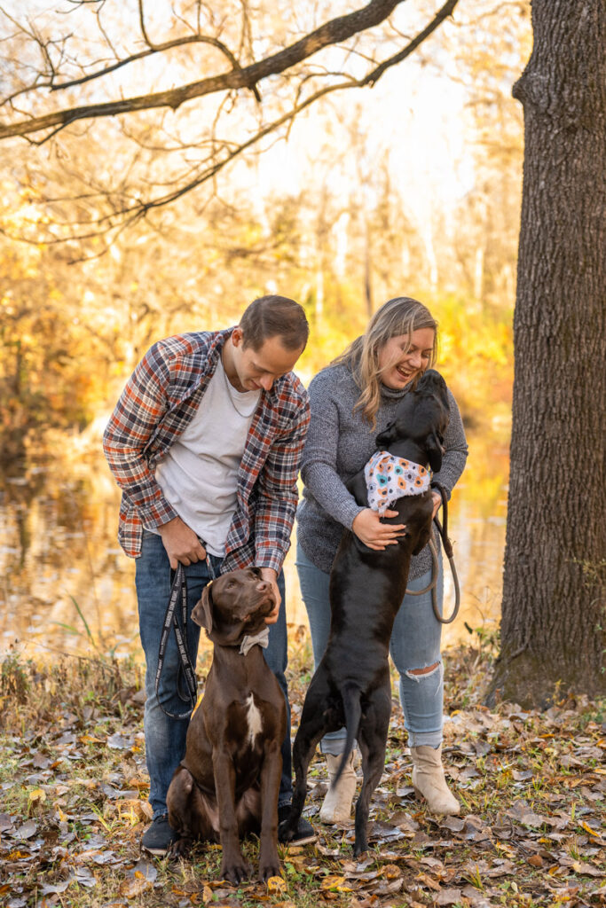 Couple plays with their dogs at the park during their fall photo session.