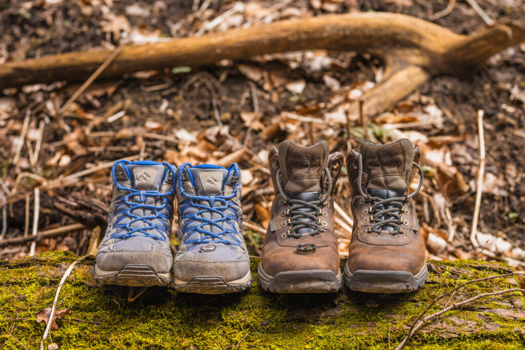 Rings resting on the tops of hiking books that sit on mossy logs at Turkey Run State Park.