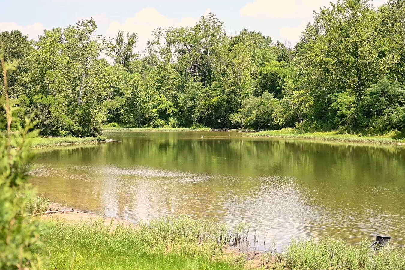 Sunny lakeside at The Conservatory at Evergreen.